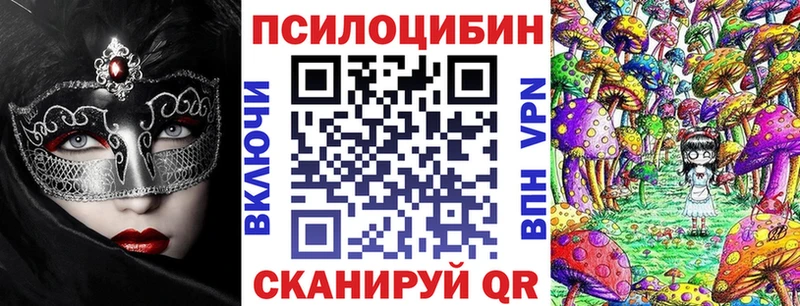 KRAKEN маркетплейс  Щёлкино  Псилоцибиновые грибы Cubensis 